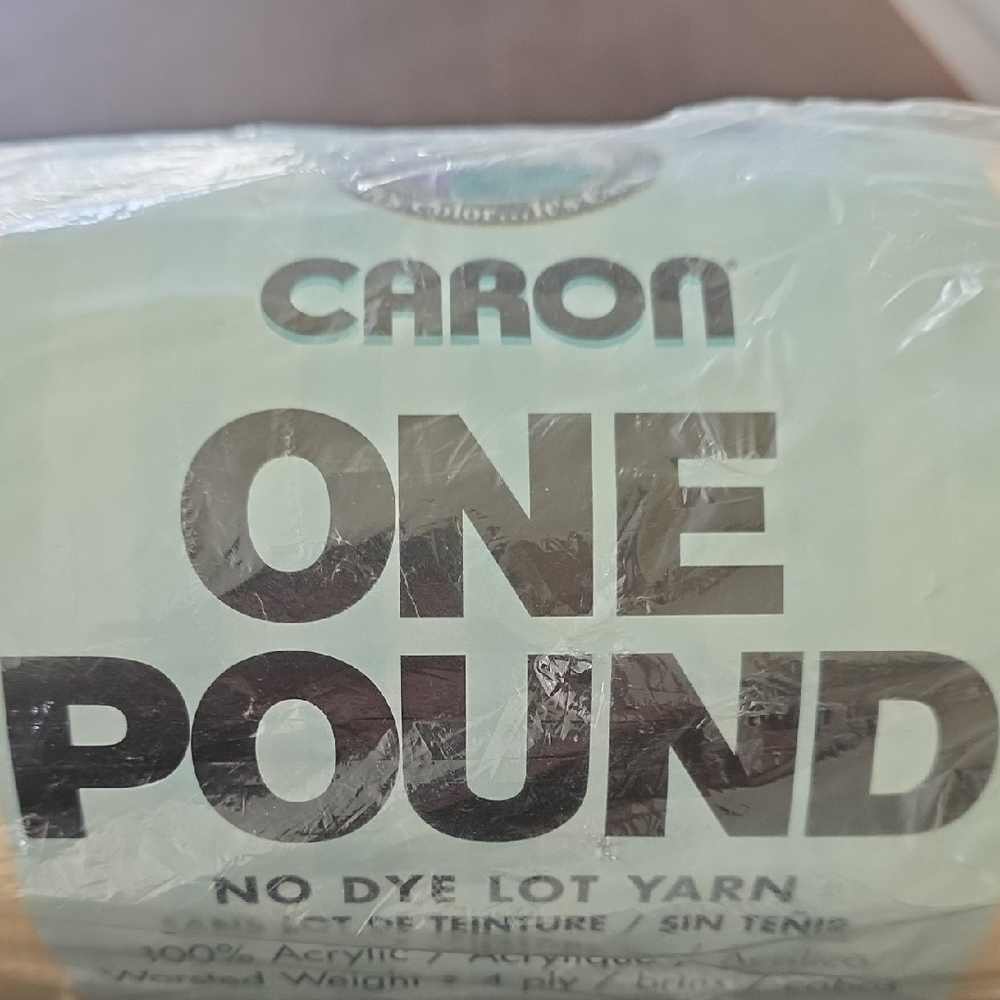 Caron One Pound No Dye Lot Yarn - Soft Mint
